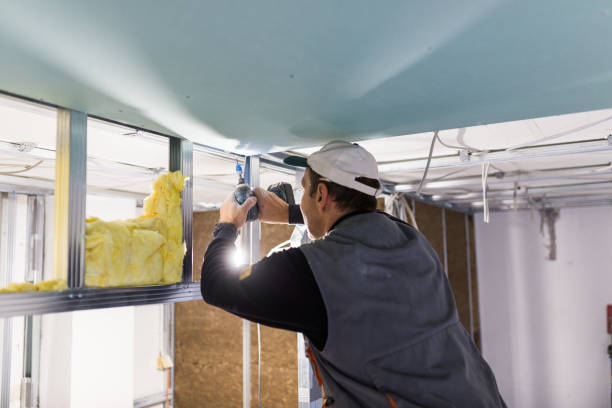 Professional Insulation Contractor in IL